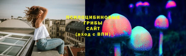 тгк Абаза