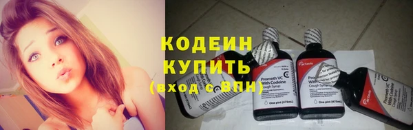 тгк Абаза