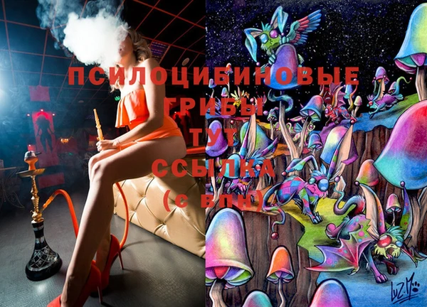 тгк Абаза