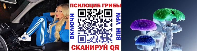 Псилоцибиновые грибы прущие грибы Белая Калитва
